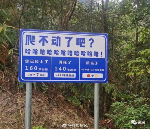 你的城市地標路牌有多整活？搞笑路牌合集盤點